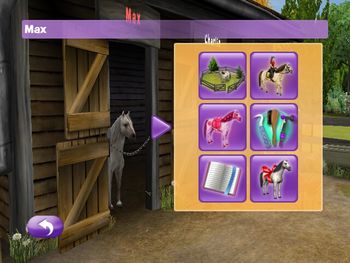 Buy Pony Friends 2 Nintendo DS