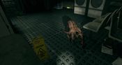 Buy Cargo Breach