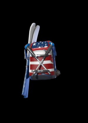 Fortnite - Alpine Accessories (USA) Back Bling (DLC) Epic Games Key GLOBAL