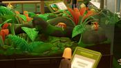 Two Point Museum: Zooseum (DLC) Steam Key (PC) EUROPE