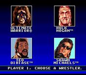 Buy WWF Super WrestleMania SEGA Mega Drive