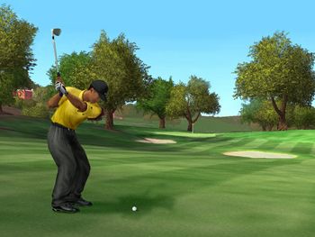 Tiger Woods PGA Tour 2005 PlayStation 2
