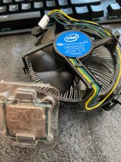 Buy Intel Core i3-8100 3.6 GHz LGA1151 Quad-Core CPU