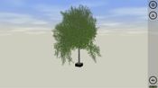Bonsai (PC) Steam Key GLOBAL