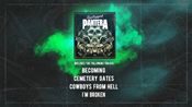 Unplugged - Pantera Pack (DLC) Steam Key (PC) GLOBAL