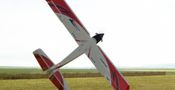 Redeem RealFlight 9.5S (PC) Steam Key GLOBAL