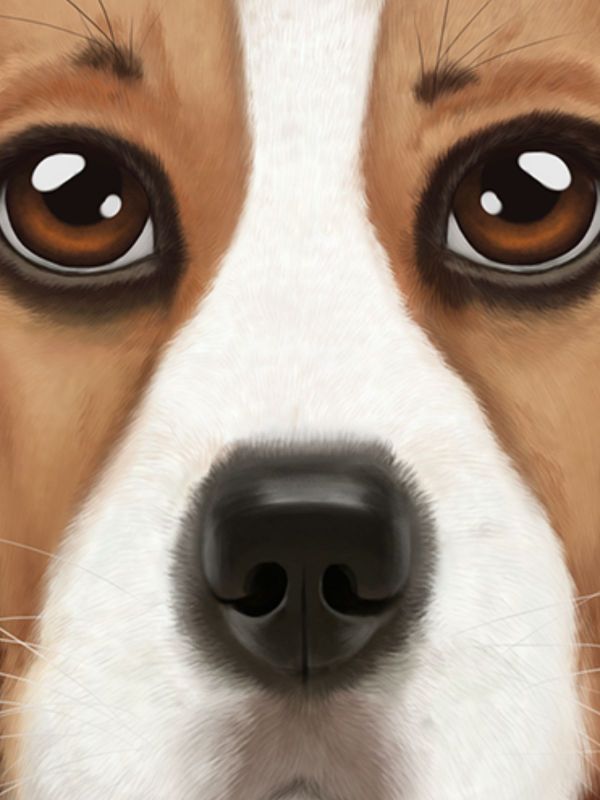 Download Ultimate Dog Simulator APK for free