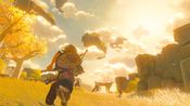 The Legend of Zelda: Tears of the Kingdom Nintendo Switch for sale