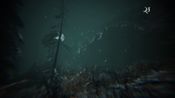 Gevaudan (PC) Steam Key EUROPE for sale