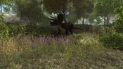 Get Dinosaur Forest (PC) Steam Key GLOBAL