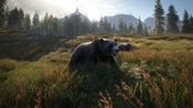 theHunter: Call of the Wild- Diamond Bundle Steam Key (PC) GLOBAL