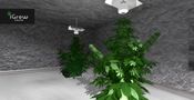 Buy iGrow Game Steam Key GLOBAL