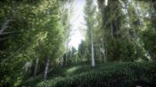 Berries Challenge (PC) Steam Key GLOBAL for sale