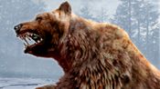 Cabela's Dangerous Hunts 2011 PlayStation 3 for sale