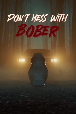 Don't Mess With Bober XBOX LIVE Key EUROPE