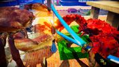 Fight Crab Steam Key GLOBAL