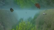 Get European Fishing (PC) Steam Key GLOBAL