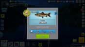 Buy Just Fishing