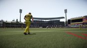 Redeem Don Bradman Cricket 17