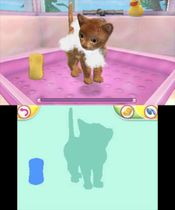My Pets