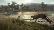 theHunter: Call of the Wild - Parque Fernando (DLC) (PC) Steam Key GLOBAL