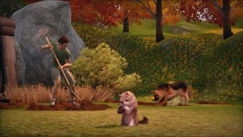 Get The Sims 3 Pets Nintendo 3DS